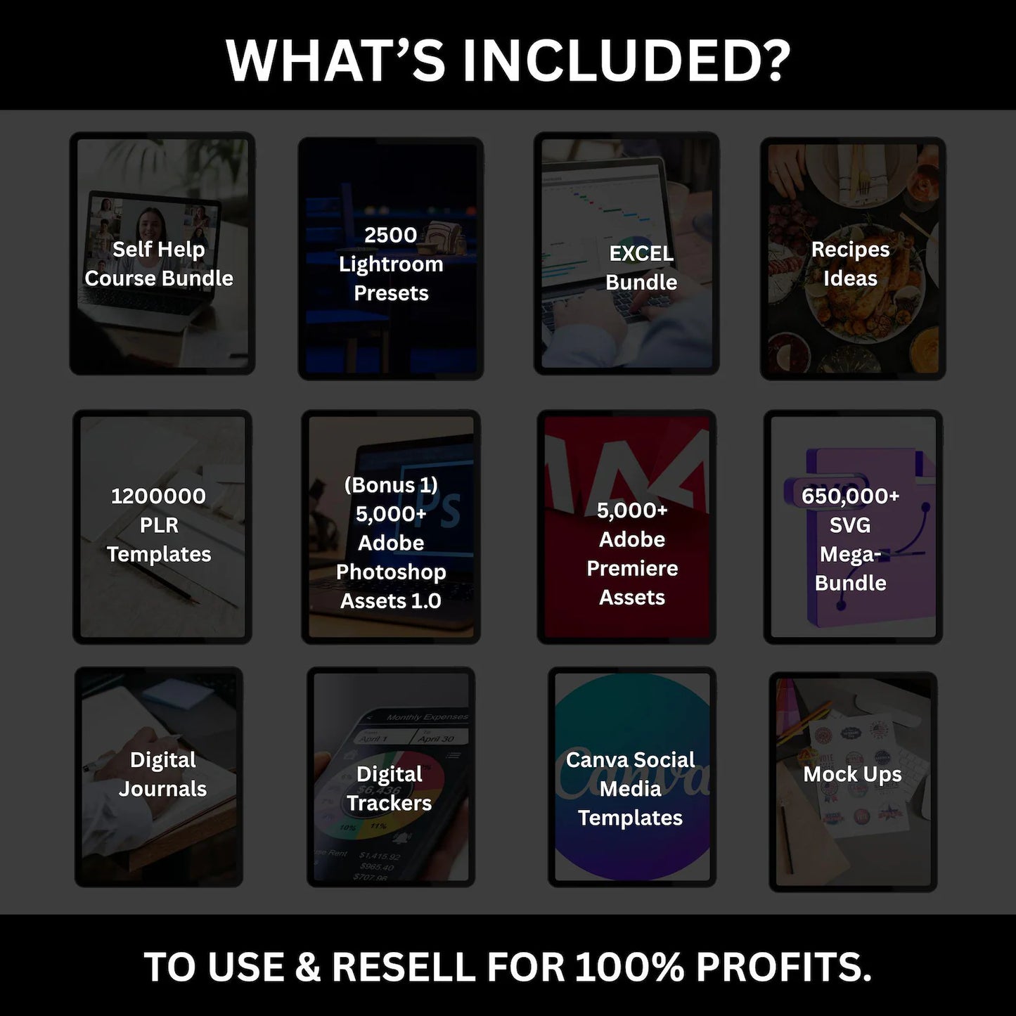 85 M+ PLR/MRR Bundle — Ready to Resell, Ideal for Passive Income