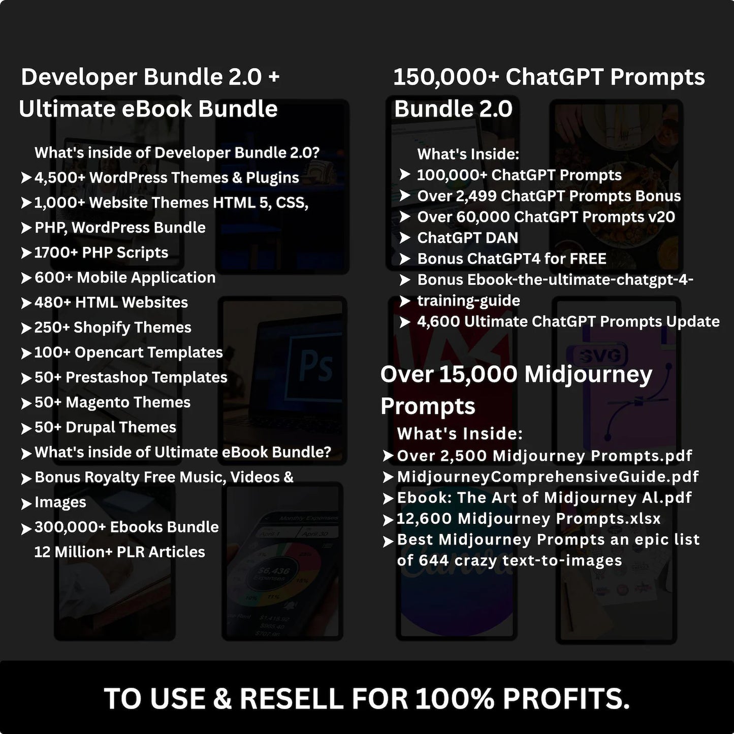 85 M+ PLR/MRR Bundle — Ready to Resell, Ideal for Passive Income