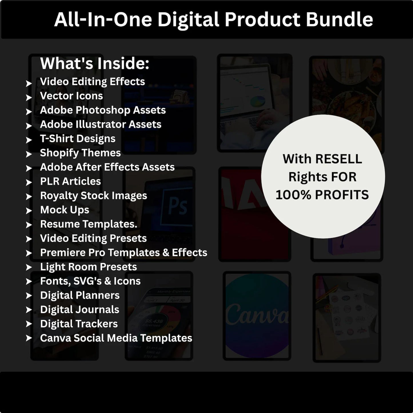 85 M+ PLR/MRR Bundle — Ready to Resell, Ideal for Passive Income