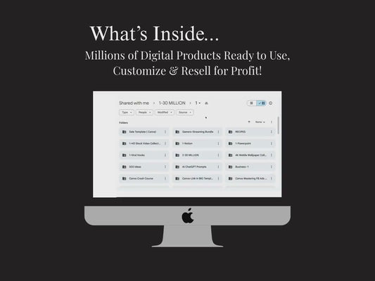 85 M+ PLR/MRR Bundle — Ready to Resell, Ideal for Passive Income
